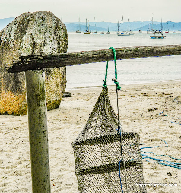 Armadilhas para pescar ostras de Santo Antônio de Lisboa, Florianópolis