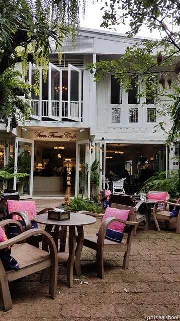 Fern Forest Cafe in Chiang Mai Old City