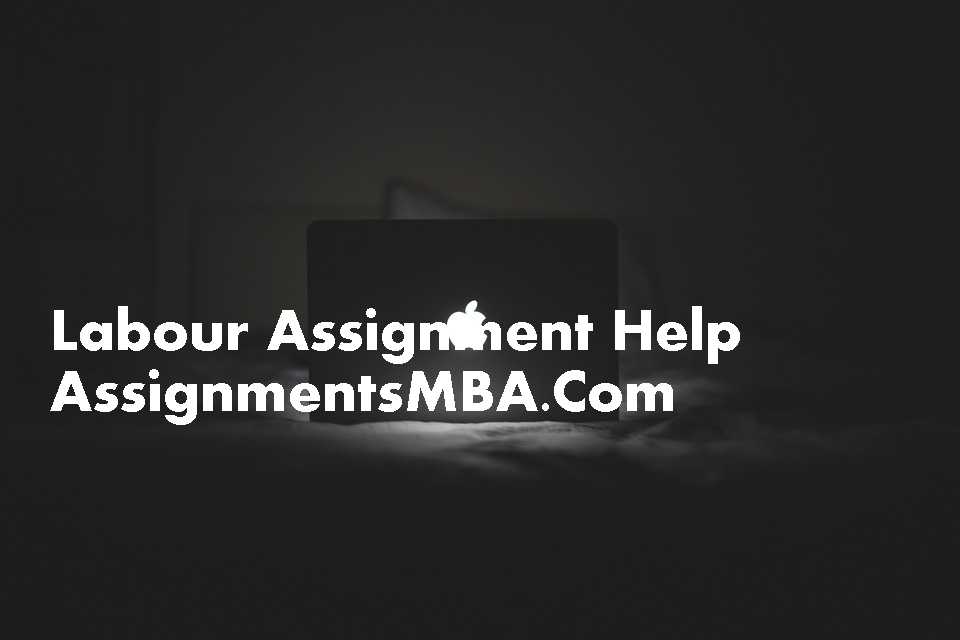 Organizational Economics Assignment Help