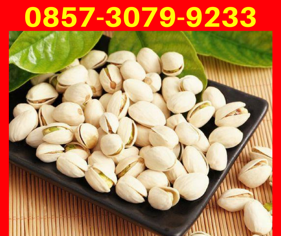 0857 3079 9233 Harga Kacang Pistachio Malaysia