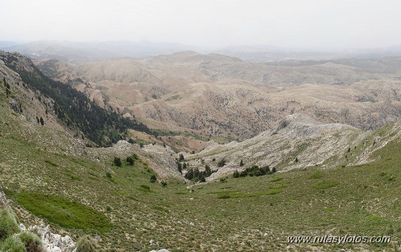 Quejigales-Tajo del Canalizo-Enamorados-Cerro Alto