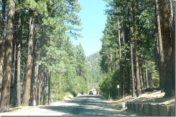 P1500959