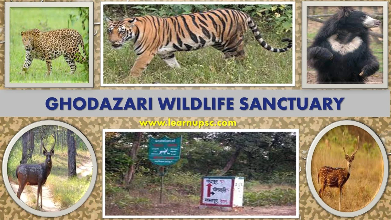 Ghodazari Wildlife Sanctuary