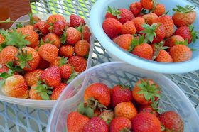 Strawberries, recipe ideas for strawberries