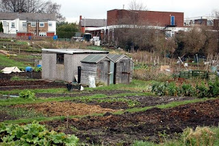 view of allotments