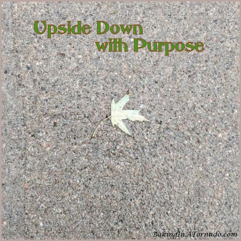 Upside Down with Purpose | graphic designed by, featured on, and property of www.BakingInATornado.com | #MyGraphics #blogging