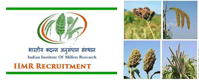 [B.Sc. Ag ]Project Assistant Recruitment in Indian Institute of Millets Research