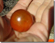 first tomatoe