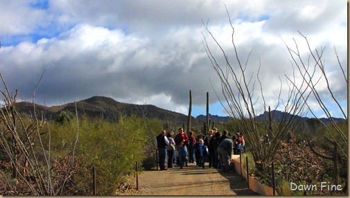 Desert museum_092