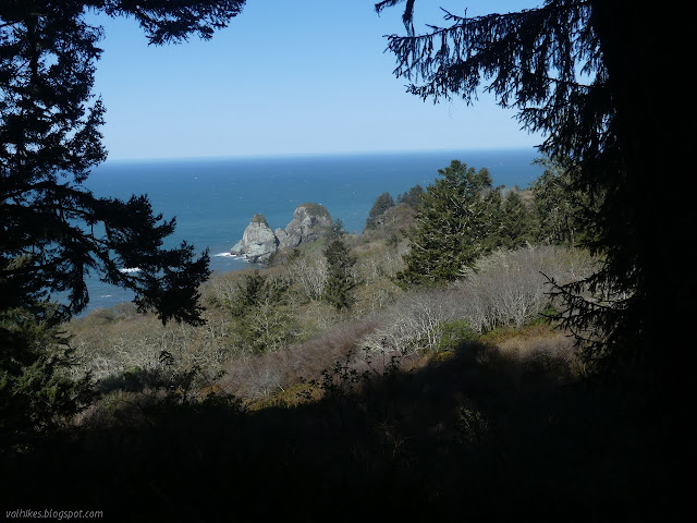 coastline with rocks sticking out