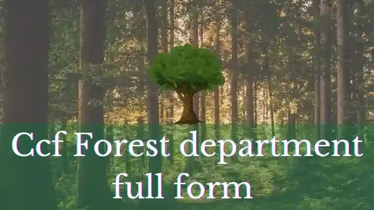 Ccf full form, ccf full form in medical ,ccf full form in forest department, ccf full form in hindi