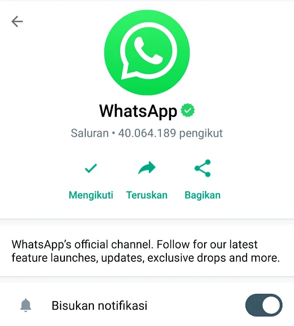 Gambar Jasa WhatsApp Green Tick Dengan Fakta dan Fungsinya