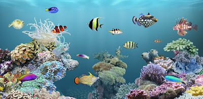 aniPet Marine Aquarium HD v1.0 Apk