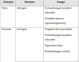 Sistem endokrin merupakan sistem yang meliputi acara beberapa kelenjar yang mengatur d Sistem Endokrin pada Unggas 