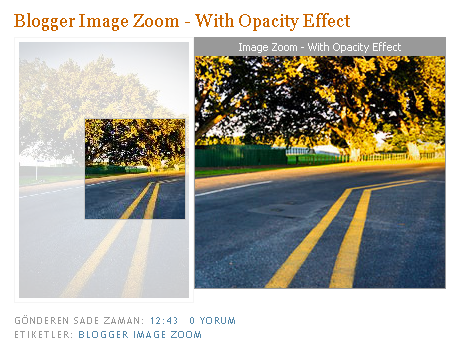 image-zoom-opacity-effect