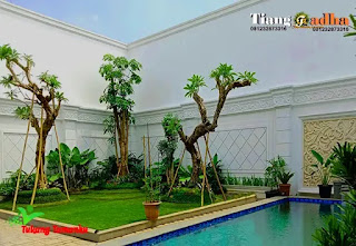 tukang taman cilandak dan jasa taman di cilandak jakarta selatan