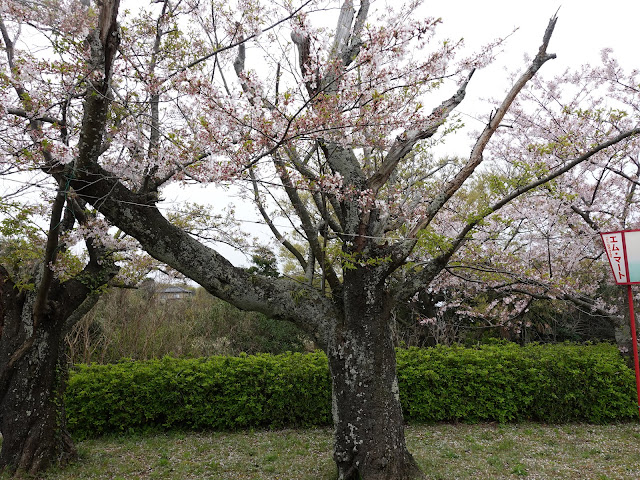 鳥取県西伯郡大山町御来屋　名和公園