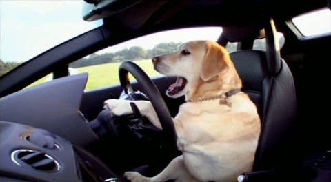 Top Gear S12E01_LP-560-4 Dog