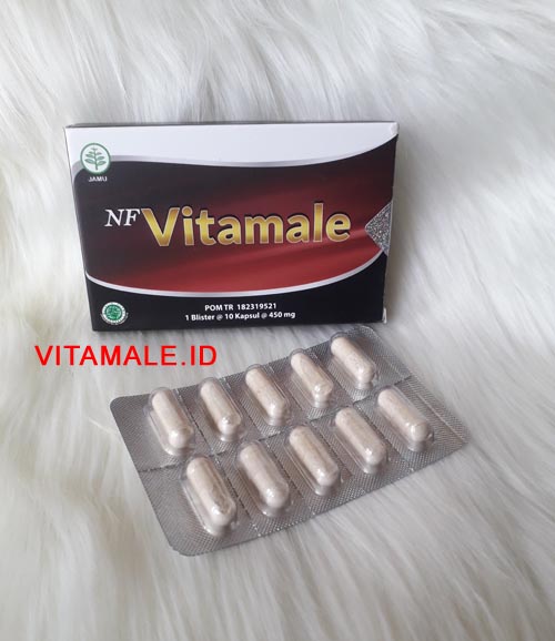 <br/>Distributor NF Vita male Original di Jombang WA : 0821.3322.3939<br/>