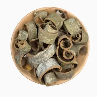Morus Bark