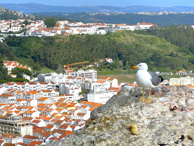 Nazare Cliff View, Nazare Portugal, Nazare Beach, Center of Portugal