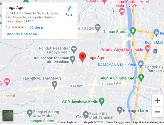 Toko Pertanian, Toko Tani, Toko Pertanian Terdekat, Olshop, Online Shop, Lmga Agro, Kediri, Jawa Timur, Lirboyo, Mojoroto