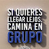 CAMINA EN GRUPO