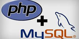 Membuat Statistik Dengan Counter Di PHP Dan MySQL