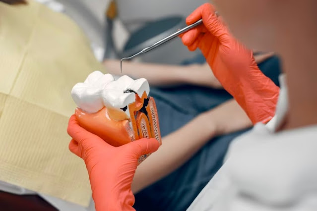 Edmonton dentist