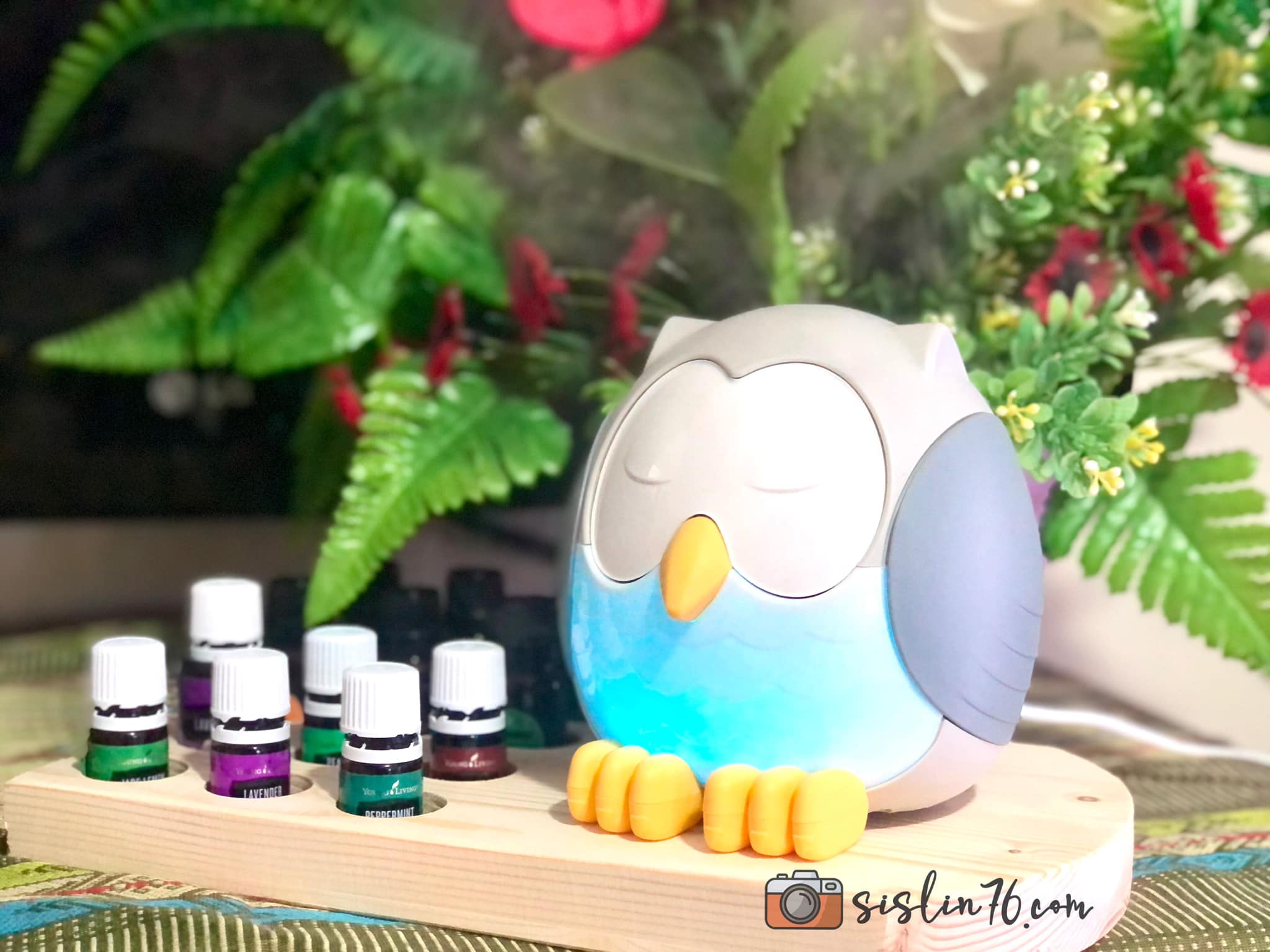 Owl Difusser Young Living