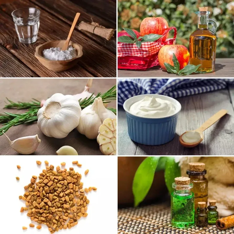 رائحة المهبل زي السمك رائحة المهبل ونوع الجنين رائحة المهبل في الحمل