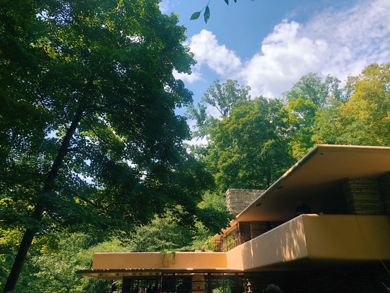 Summer Road Trip: Fallingwater + Ohiopyle State Park | Organized Mess