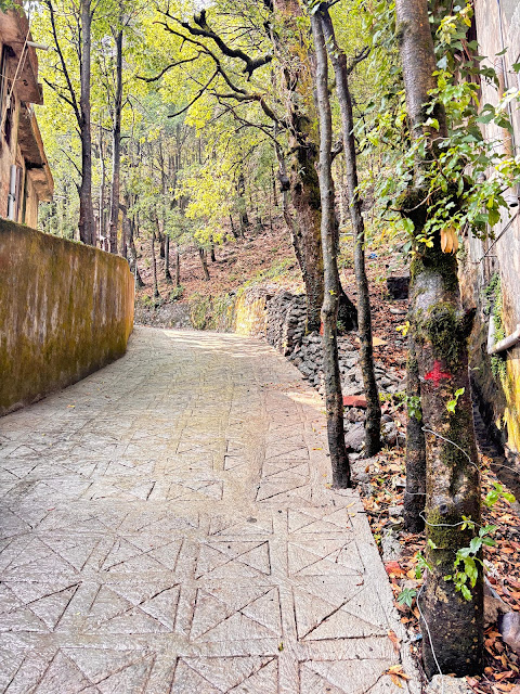 Nainital short hike