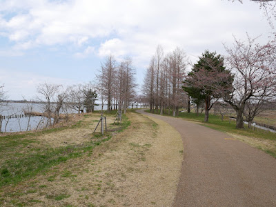 木場潟公園 サイクリングロード