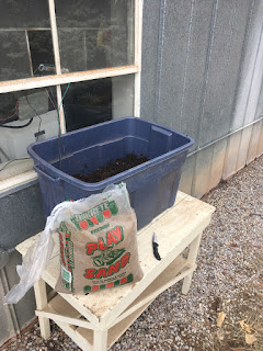 View of white table with blue "tote" and a clear plastic bag of sand. The sand is called "Playsand" and is used to fill the container and the hold cuttings. 