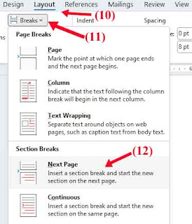 How to add (make) different page numbers, roman, and numerals in MS Word for the thesis?