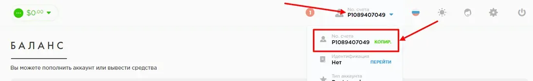 Как найти свой номер кошелька в Payeer