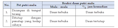 Laporan Praktikum Gerak pada Tumbuhan Evynia Kristanti 