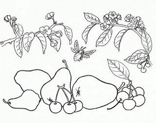 Frutas y Flores para Colorear Manualidades