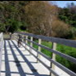 View album