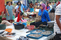 Naskah drama untuk 4 orang  Berita Terbaru