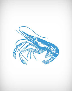 চিংড়ি, shrimp, prawn, crayfish, black tiger, cat tiger, harina, lobe, golda, bagda, white prawn, chaka, mollusk, shellfish, crab, sea food, fish