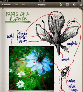 APP IPAD PER DISEGNARE A MANO LIBERA