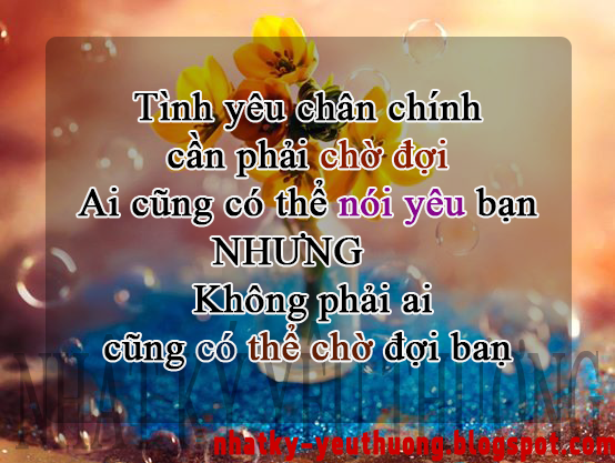 may ao thun quang cao