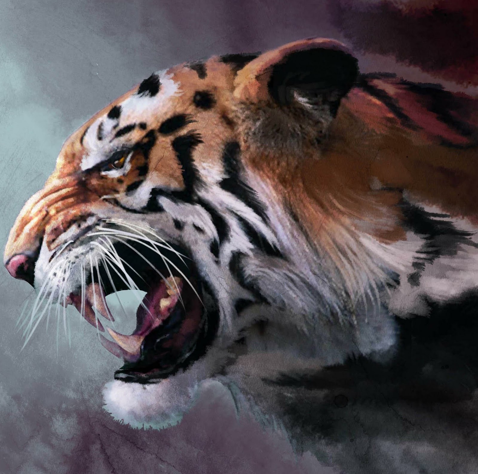  Gambar  Harimau Terbaru Kumpulan Gambar 