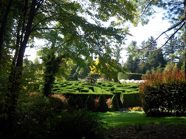 VanDusen Hedge Maze