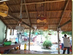 DSC06800