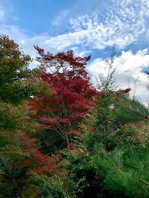 大悲閣千光寺