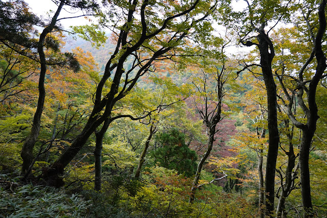 鳥取県西伯郡大山町大山　遊歩道からの眺望