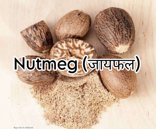 Nutmeg (जायफल)